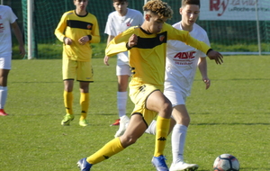 U16 RÉGION : LE MANS FC S’IMPOSE LOGIQUEMENT 