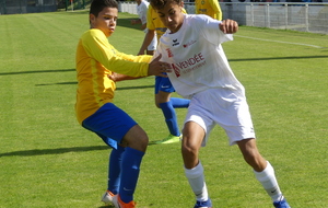 U15 RÉGION : LA ROCHE VF CARTONNE CONTRE BEAUPRÉAU