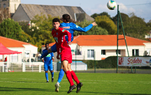 LOURDE DÉFAITE DE LA ROCHE VF EN COUPE DE FRANCE