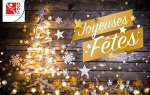 JOYEUSES FÊTES DE FIN D'ANNÉE