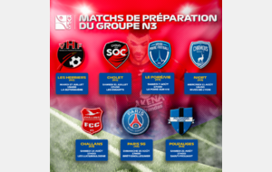 Matchs de préparation du Groupe N3