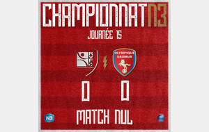 J15 : La Roche VF 0-0 Olympique Saumur