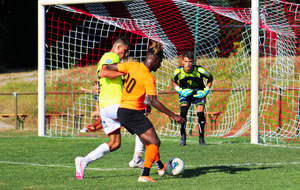 5f26a4f0b207e_N3LAVAL54sur57.jpg