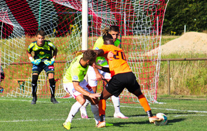 5f26a4f14bb25_N3LAVAL55sur57.jpg