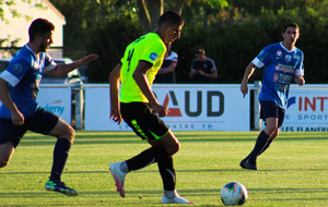 5f2bb6aa241b7_N3LEPOIRE60sur63.jpg