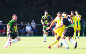 5f2f96f44c3d8_N3NANTES71sur73.jpg