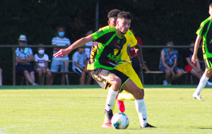 5f2f96f5e51a5_N3NANTES73sur73.jpg