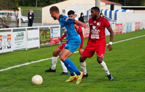 5f4c081346a2e_N3FONTENAY58sur61.jpg
