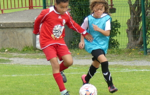 5f536fb50f62d_P1130045.JPG