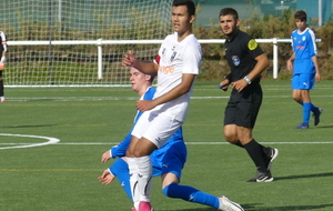 5f6643bb96851_P1130347.JPG