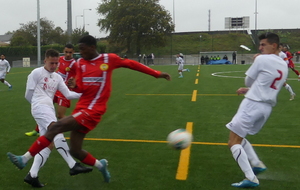 5f78b16ac14c5_P1130972.JPG