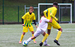 5f7e13a181dba_FCNANTES73sur92.jpg