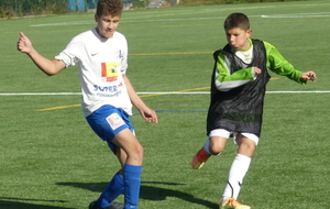 5f81931de9afe_P1140175.JPG