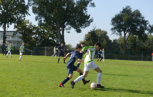 6162c11d37b48_P1150525.JPG