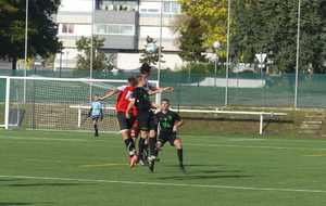 6163116873ab3_P1150603.JPG