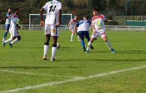 616419d1b7519_IMG1736.jpg