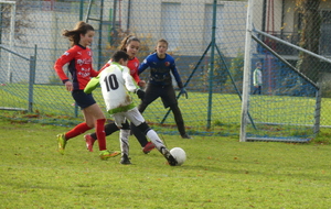 61ab4352b42b1_P1160177.JPG