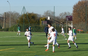 61bef6283e305_P1160542.JPG