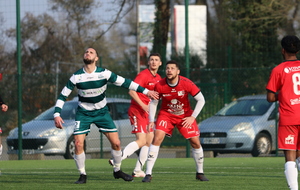 6225fceeaf5c8_IMG2563.JPG