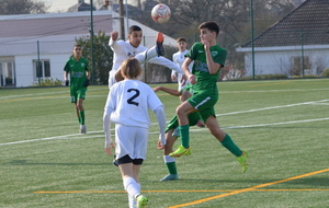 6225fdc7c0fc1_DSC0215.JPG