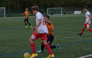 634d1ddb0550b_DSC0229.JPG