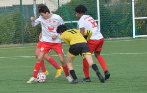 6384cbcff04eb_DSC0907.JPG
