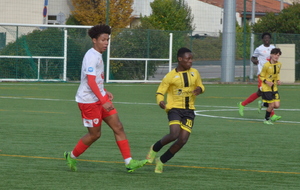 6384cbed1bc63_DSC0910.JPG