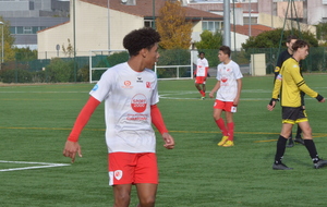 6384cc1f43612_DSC0917.JPG