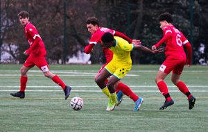63e0bc20670c3_P2FCNANTES1sur106.jpg
