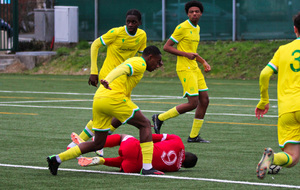 63e0bc21af33b_P2FCNANTES2sur106.jpg