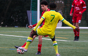 63e0bc22e5121_P2FCNANTES3sur106.jpg